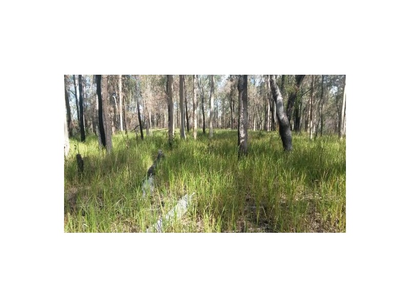 Lot 144 Sugarbag Rd, Tabulam NSW 2469