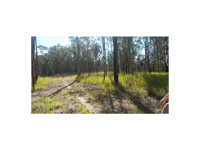 Lot 144 Sugarbag Rd, Tabulam NSW 2469