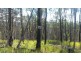 Lot 144 Sugarbag Rd, Tabulam NSW 2469