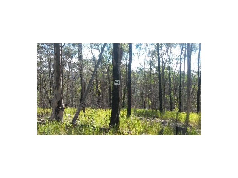 Lot 144 Sugarbag Rd, Tabulam NSW 2469