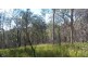 Lot 144 Sugarbag Rd, Tabulam NSW 2469