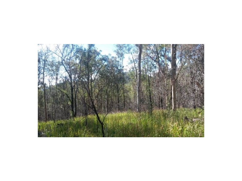 Lot 144 Sugarbag Rd, Tabulam NSW 2469