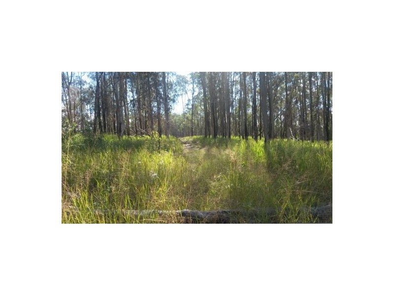 Lot 145 Sugarbag Rd, Tabulam NSW 2469
