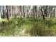 Lot 145 Sugarbag Rd, Tabulam NSW 2469