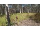 Lot 145 Sugarbag Rd, Tabulam NSW 2469