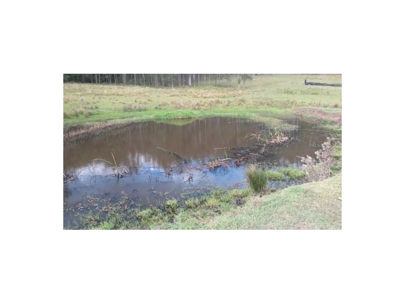 Lot 75 Dyraaba Road, Dyraaba NSW 2470