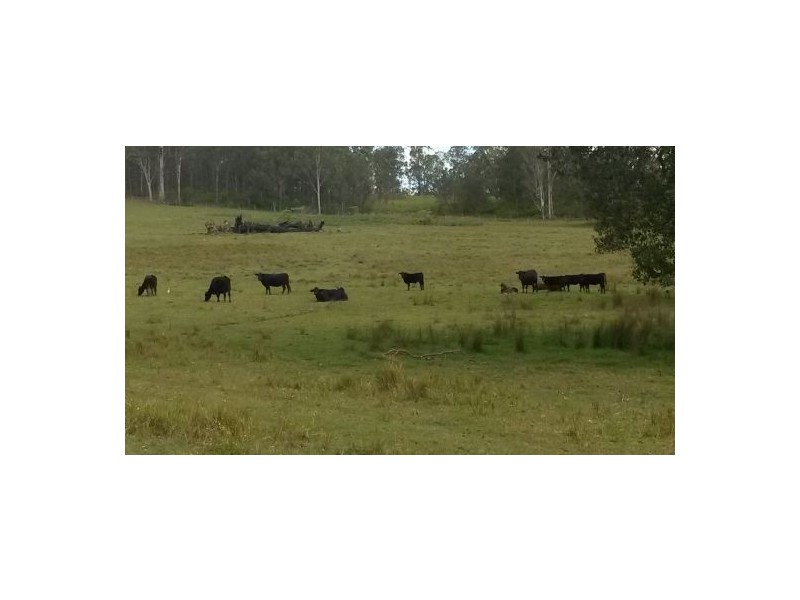 Lot 75 Dyraaba Road, Dyraaba NSW 2470