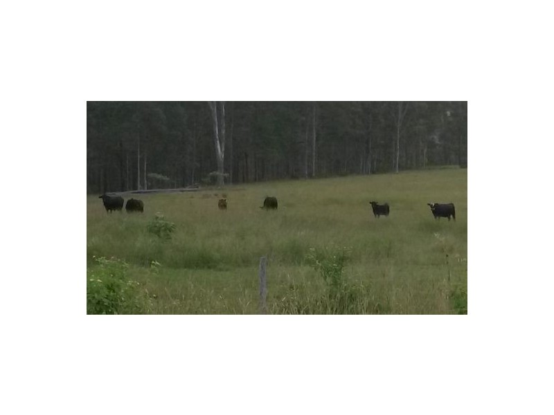 Lot 75 Dyraaba Road, Dyraaba NSW 2470