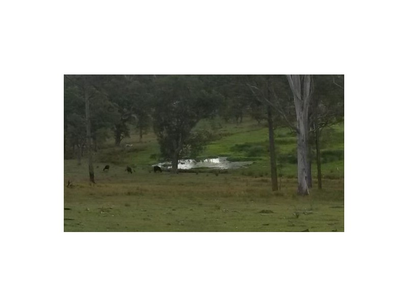Lot 75 Dyraaba Road, Dyraaba NSW 2470