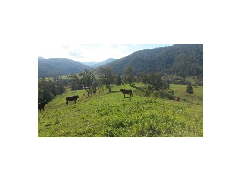 33 Bendalls Road, Kyogle NSW 2474