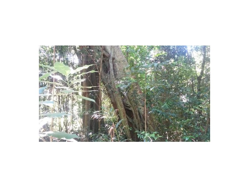 33 Bendalls Road, Kyogle NSW 2474