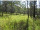 201 Bushy Drive, Tabulam NSW 2469