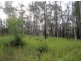201 Bushy Drive, Tabulam NSW 2469