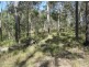 201 Bushy Drive, Tabulam NSW 2469