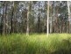 201 Bushy Drive, Tabulam NSW 2469