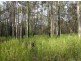 201 Bushy Drive, Tabulam NSW 2469
