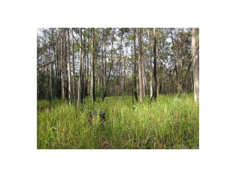 201 Bushy Drive, Tabulam NSW 2469
