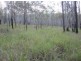 201 Bushy Drive, Tabulam NSW 2469