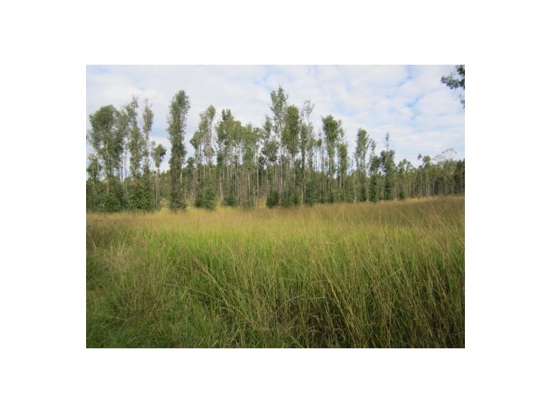 Lot 163 Paddys Flat Rd, Tabulam NSW 2469