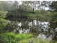 Lot 163 Paddys Flat Rd, Tabulam NSW 2469