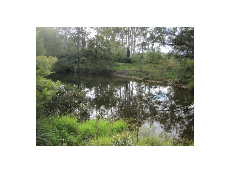 Lot 163 Paddys Flat Rd, Tabulam NSW 2469
