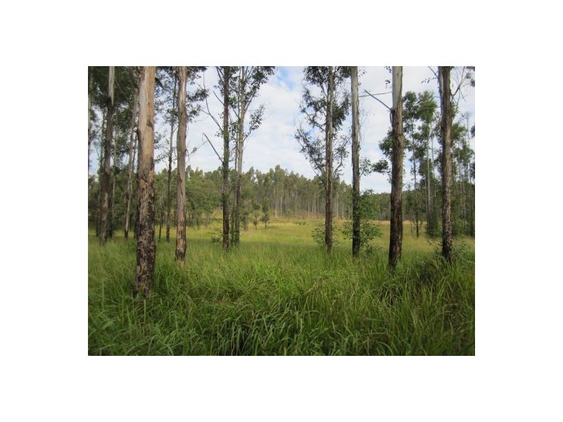 Lot 163 Paddys Flat Rd, Tabulam NSW 2469
