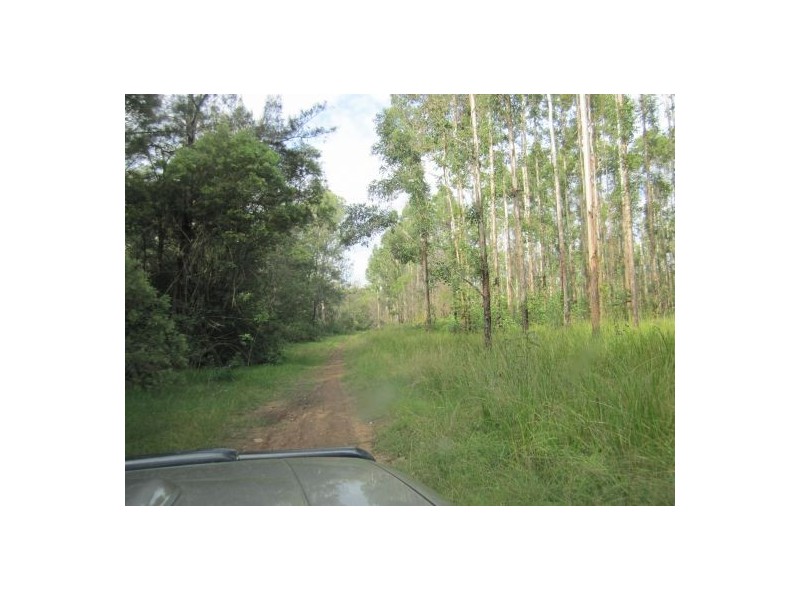 Lot 163 Paddys Flat Rd, Tabulam NSW 2469