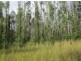 Lot 163 Paddys Flat Rd, Tabulam NSW 2469