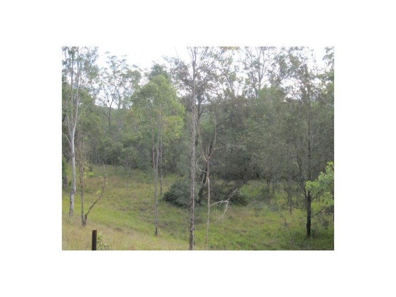 Lot 163 Paddys Flat Rd, Tabulam NSW 2469