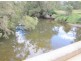 Lot 163 Paddys Flat Rd, Tabulam NSW 2469