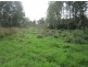 Lot 163 Paddys Flat Rd, Tabulam NSW 2469