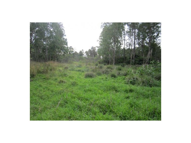 Lot 163 Paddys Flat Rd, Tabulam NSW 2469