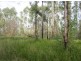 Lot 163 Paddys Flat Rd, Tabulam NSW 2469