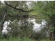 Lot 163 Paddys Flat Rd, Tabulam NSW 2469