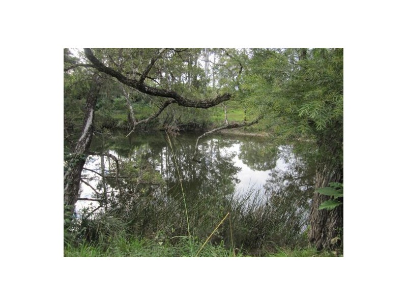 Lot 163 Paddys Flat Rd, Tabulam NSW 2469