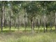 Lot 163 Paddys Flat Rd, Tabulam NSW 2469