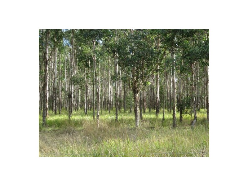 Lot 163 Paddys Flat Rd, Tabulam NSW 2469