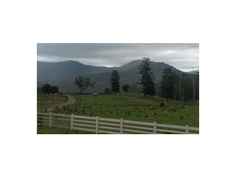 830 Gradys Creek Road, Kyogle NSW 2474