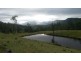 830 Gradys Creek Road, Kyogle NSW 2474