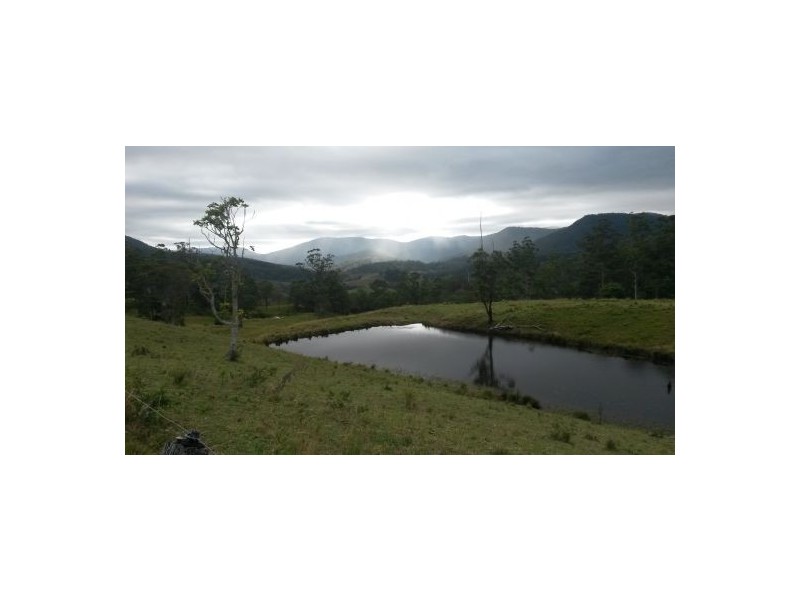 830 Gradys Creek Road, Kyogle NSW 2474