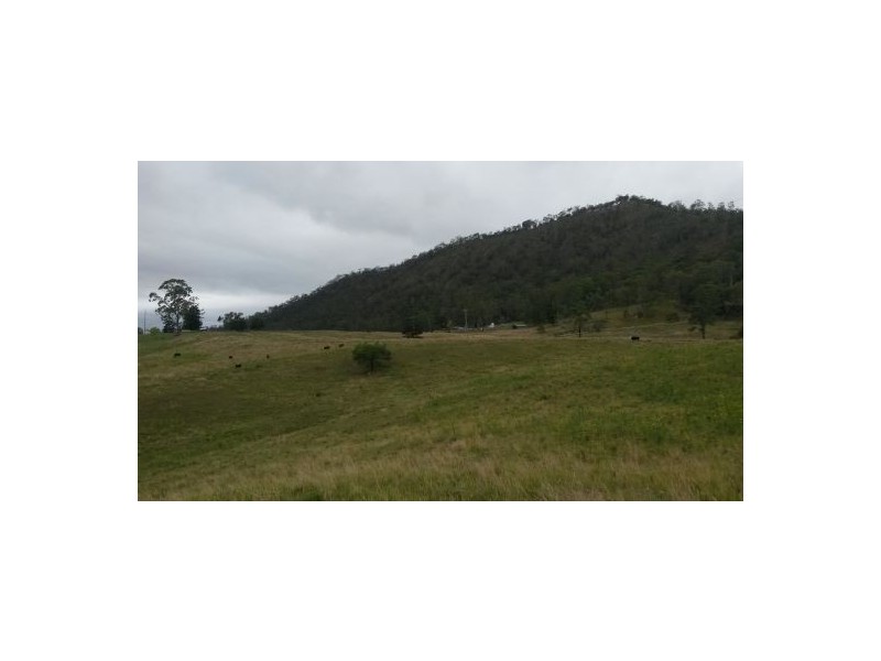 830 Gradys Creek Road, Kyogle NSW 2474