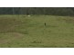 830 Gradys Creek Road, Kyogle NSW 2474