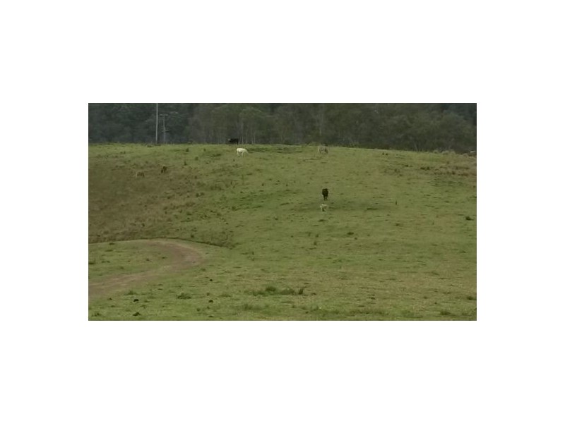 830 Gradys Creek Road, Kyogle NSW 2474
