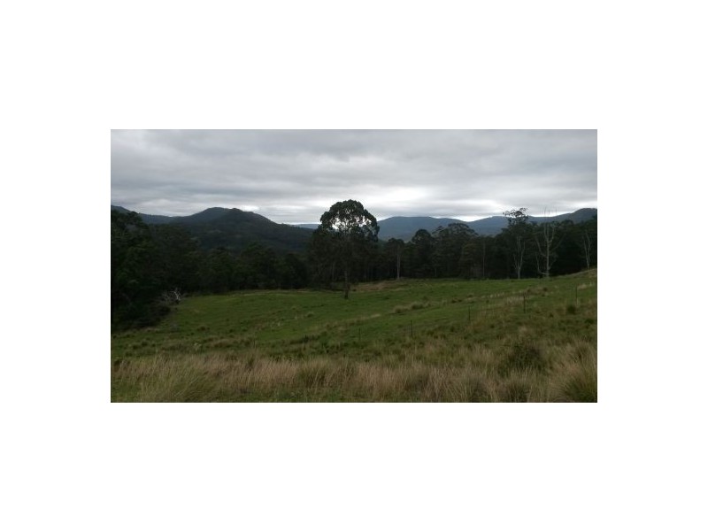830 Gradys Creek Road, Kyogle NSW 2474