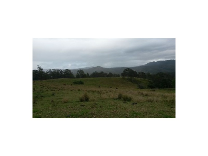 830 Gradys Creek Road, Kyogle NSW 2474