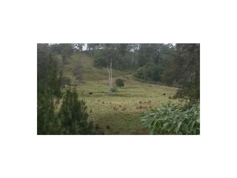 830 Gradys Creek Road, Kyogle NSW 2474