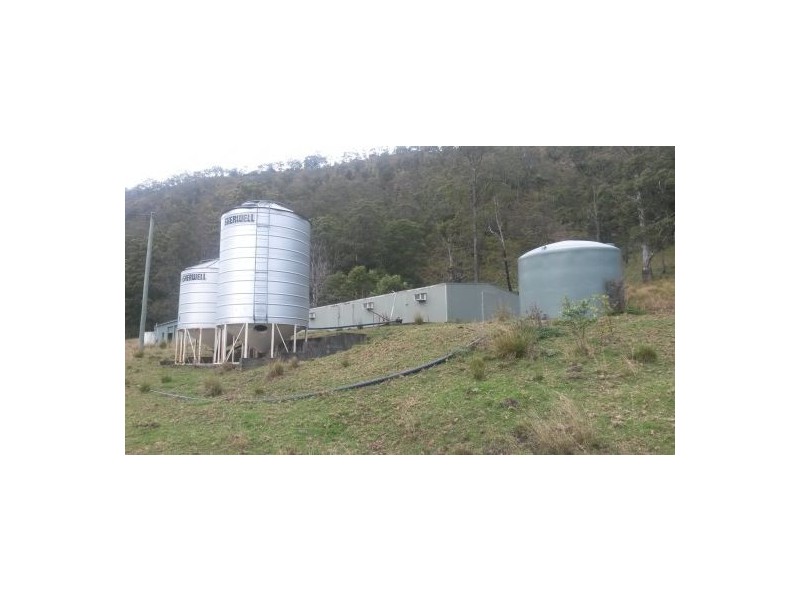 830 Gradys Creek Road, Kyogle NSW 2474