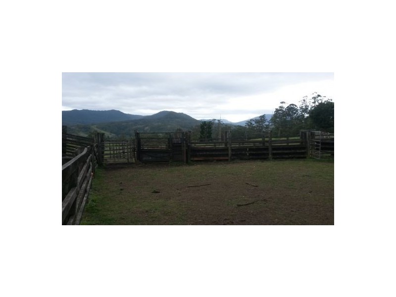 830 Gradys Creek Road, Kyogle NSW 2474