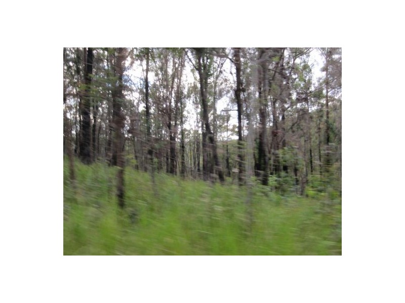 Lot 142 Sugarbag Rd, Tabulam NSW 2469