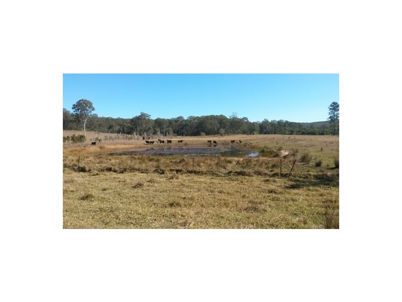 Lot 10 Old Tenterfield Road, Busbys Flat NSW 2469